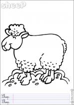 coloriage-mouton-3